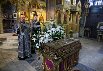 Митрополит Даниил совершил в Александро-Невском соборе утреню с чином погребения Плащаницы