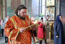 Митрополит Даниил совершил в Александро-Невском соборе Литургию в праздник иконы «Живоносный источник»