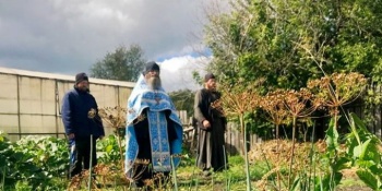 В Чимеевском монастыре полным ходом идет уборка овощей