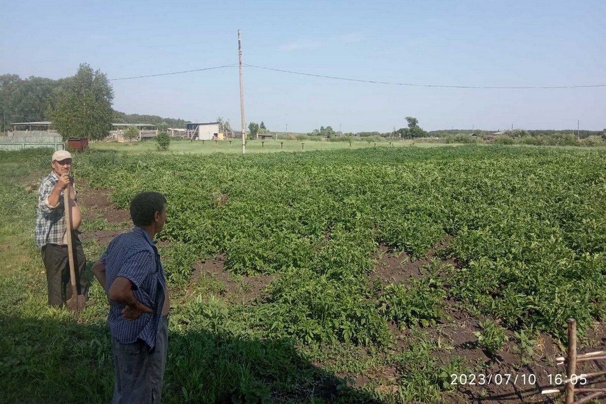 В «Андреевской слободе» никто не сидит без дела