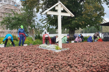 В Верх-Теченском женском монастыре окончена уборка картофеля