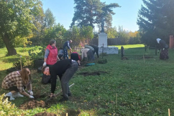 На территории Введенского храма появились новые кустарники