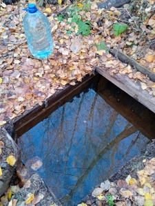 В зауральском селе планируют облагородить источник