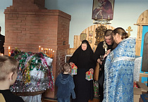 В Курганской епархии подвели итоги акции «Дари радость на Рождество!»