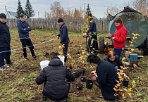 В Чимеевском монастыре начались работы по устройству фруктового сада