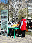 В Кургане продолжается реализация проекта «Социальная столовая «Сквер Милосердия»