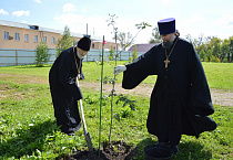 В селе Батурино отметили 208-ю годовщину со дня рождения архимандрита Антонина (Капустина)