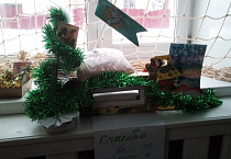 «Рождественская столовая» для птиц открылась в православной школе во имя Александра Невского в Кургане