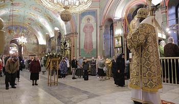 Воскресная Литургия в Александро-Невском соборе Кургана