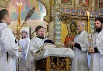 Праздник Крещения Господня встретили в храмах Курганской епархии