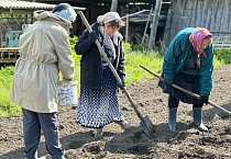 Зауральские прихожане высадили картофель на храмовом огороде