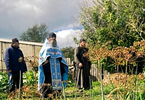 В Чимеевском монастыре полным ходом идет уборка овощей