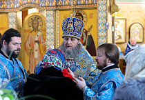 Митрополит Даниил: «Великомученик Фёдор Стратилат является покровителем нашего воинства»