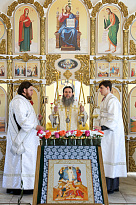 Служение митрополита Даниила в храме Иоанна Кронштадтского