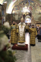 Воскресная Литургия в Александро-Невском соборе Кургана