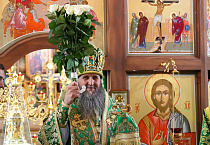 Митрополит Даниил: Высоту подвига святого Серафима Саровского мы не можем до конца осознать