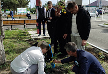 В Курганском госпитале первый учебный день ознаменовали высадкой кустов роз