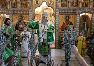 Митрополит Даниил совершит чин освящения верб в Александро-Невском соборе города Кургана