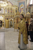 Воскресная Литургия в Александро-Невском соборе Кургана