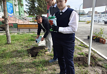 В Курганском госпитале первый учебный день ознаменовали высадкой кустов роз