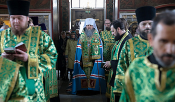 Митрополит Даниил в Лазареву субботу освятил вербы