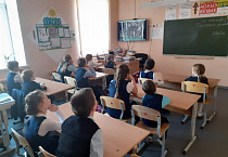 Для учеников Александро-Невской школы Кургана провели виртуальную экскурсию по экотропе
