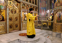 Митрополит Даниил на Литургии призвал молиться Патриарху Тихону и всем новомученикам, которые приняли волю Божию, не усомнившись в своей вере