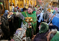 Митрополит Даниил в праздник Входа Господня в Иерусалим освятил вербы в Александро-Невском соборе