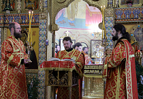 Митрополит Даниил совершил в Александро-Невском соборе Литургию в праздник иконы «Живоносный источник»