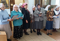 В Кургане сестры  милосердия разных приходов участвовали в общем молебне