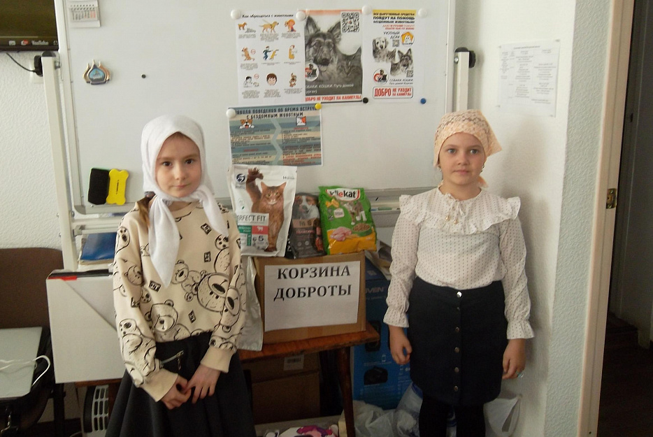 На Покровском приходе города Кургана провели акцию «Помощь пострадавшим от паводка животным»