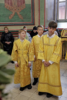 Воскресная Литургия в Александро-Невском соборе Кургана