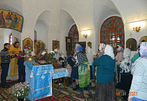 В праздник Космы и Дамиана курганские паломники побывали в Каргапольском районе