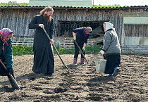 Зауральские прихожане высадили картофель на храмовом огороде