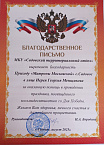 В Зауралье сельский приход наградили благодарственным письмом