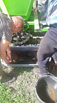 В Зауралье на фермерском подворье «Андреевская слобода» стоит горячая пора